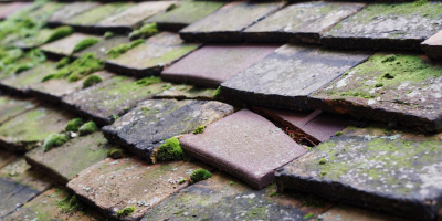 Diddington roof repair costs